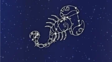 فرص متعددة.. توقعات برج العقرب 18 نوفمبر 2025 مع نصائح لتعزيز نجاحك المهني والعاطفي والتكيف مع التغيرات بسهولة.